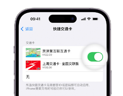 金凤apple维修点分享iPhone上更换Apple Pay快捷交通卡手绘卡面 