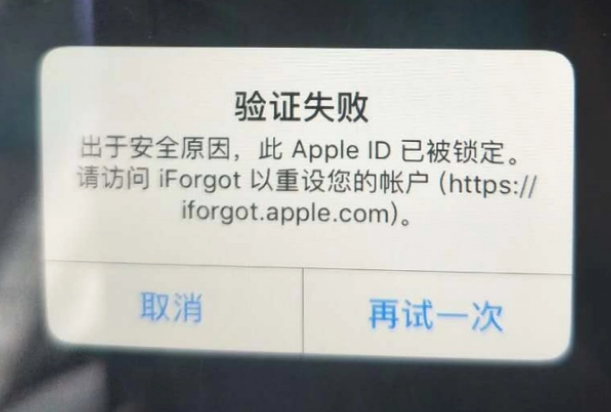 金凤iPhone维修分享iPhone上正常登录或使用AppleID怎么办 