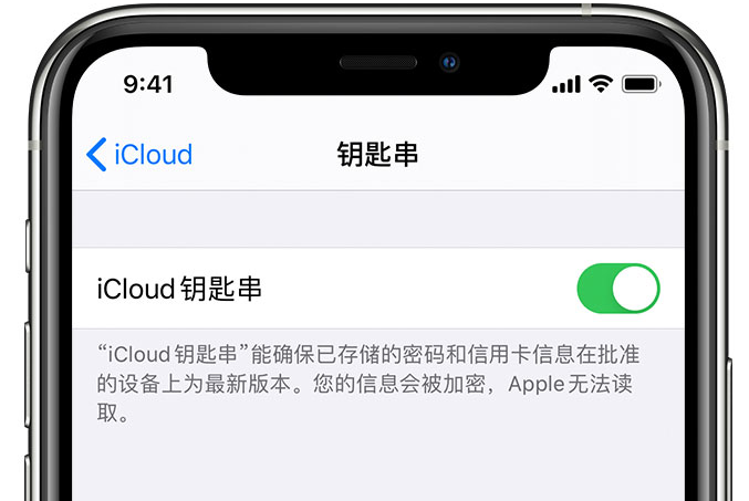 金凤苹果手机维修分享在 iPhone 上开启 iCloud 钥匙串之后会储存哪些信息 