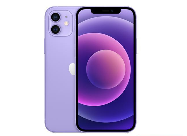 金凤苹果手机维修分享现阶段要不要入手紫色版iPhone12 